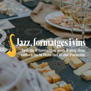 VIJAZZ WEB-3